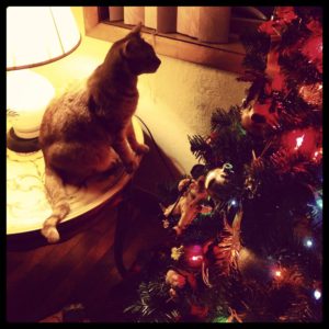 Cat-Sitting-Christmas Tree